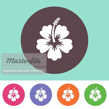 Vector hibiscus flower icon on round colorful buttons