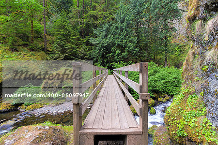 Wooden Foot Bridge Over Creek in Wahclella Falls Trail in Columbia River Gorge Oregon