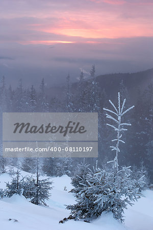 snowy mountains Karpaty in winter evening light amber