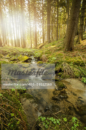 Falls on the small mountain river in a forest in spring with light leak and sun flare