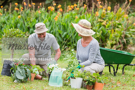 Happy grandmother and grandfather gardening on a sunny day