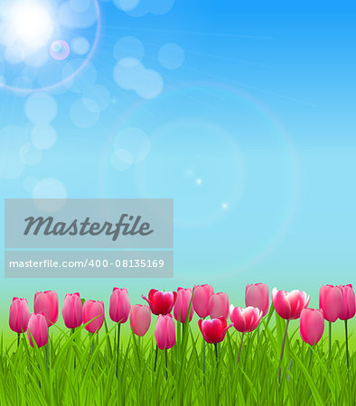 Floral background with Tulips Vector Illustration EPS10