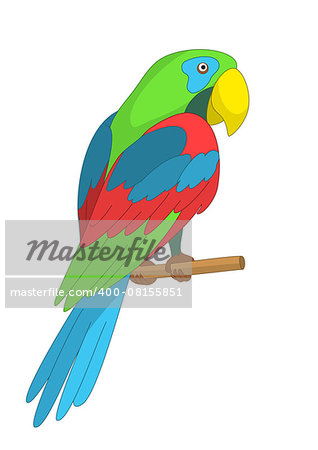 Clever speaking colored parrot sits on a wooden pole. Vector