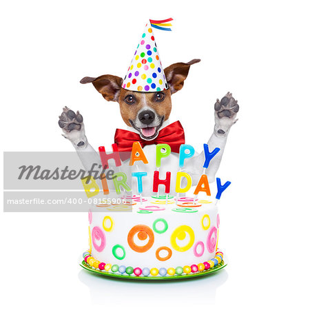 jack russell dog  as a surprise behind happy birthday cake with  candles ,wearing  red tie and party hat  , isolated on white background