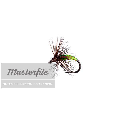 Fly fishing lure isolated on white background