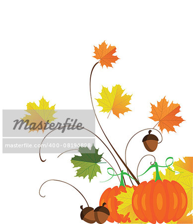vector illustration of thanksgiving fall background with leaves, pumpkins, acorns