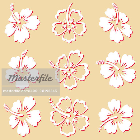 Beautiful white vector hibiscus silhouette icons isolated