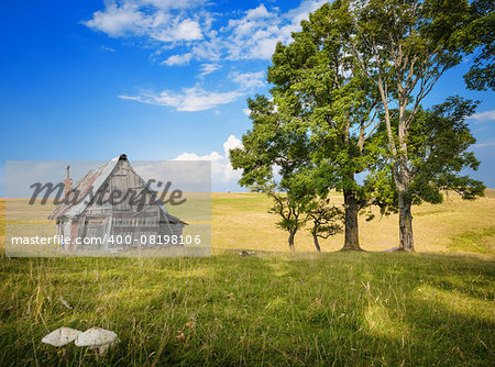 picture of a shed into beautiful nature