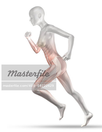 3D render of a female medical figure with partial muscle map jogging