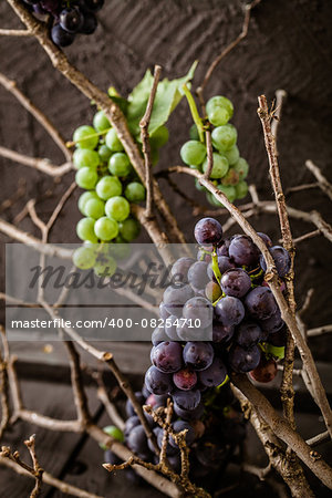 Red wine with grapes. Fresh grapes on wood. Autumn fruit