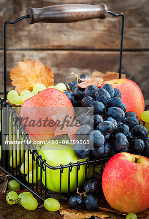 Fresh autumn red and green apples and dark grapes