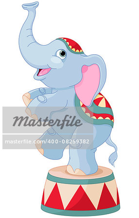 Illustration of cute circus elephant on pedestal