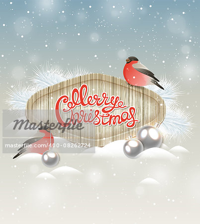 Christmas background with two bullfinch and silver decorations