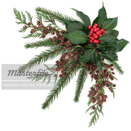Christmas flora with holly and red berries, ivy, fir and cedar cypress over white background.
