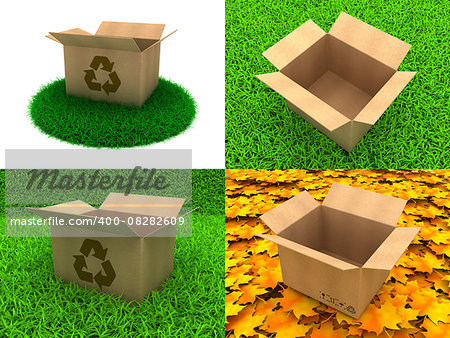 Open Cardboard Box on a Background of Green Grass and Yellow Leaves.