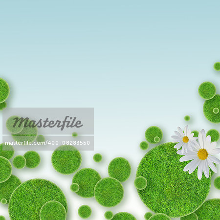 green grass circles background and daisy