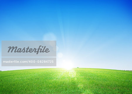 Endless green grass field and deep blue sky background
