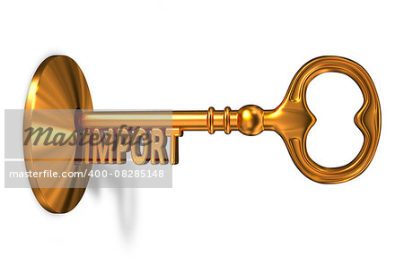 Import  - Golden Key is Inserted into the Keyhole Isolated on White Background
