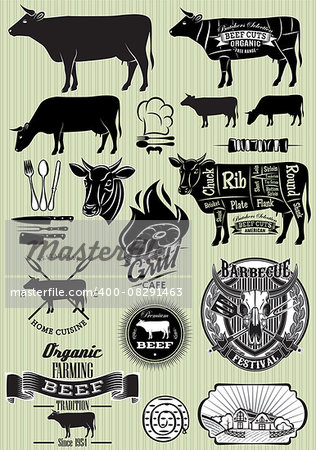 vector set of templates on the theme of cow beef for design