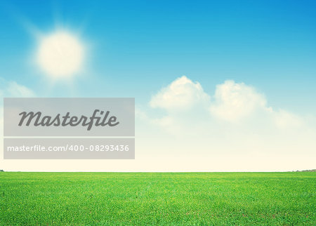 Endless green grass field and blue sky with clouds background