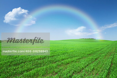 Green grass field, blue sky with clouds and rainbow background