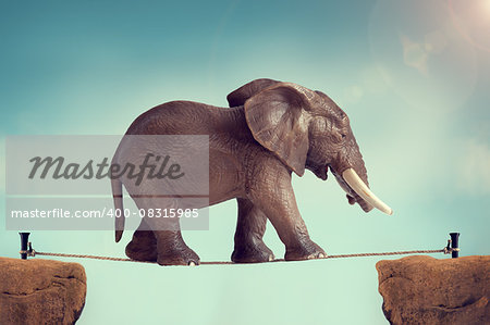 elephant on a tightrope