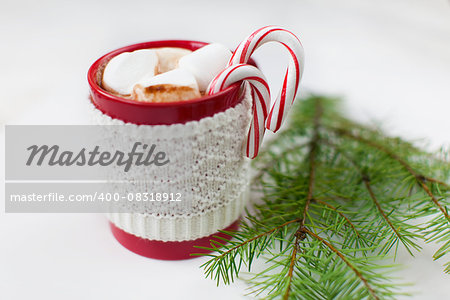 cup with hot chocolate with marshmallows and candy canes - christmas time dessert and christmas tree branch