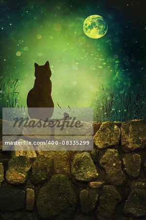 Black cat on old rock wall Halloween night