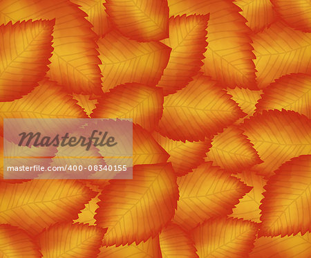 Vector colorful leaf seamless pattern background. Autumn template