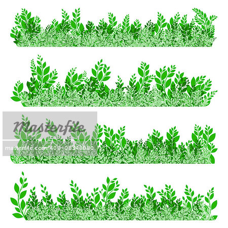 Green leaves border isolated on white background. EPS 10 vector file included