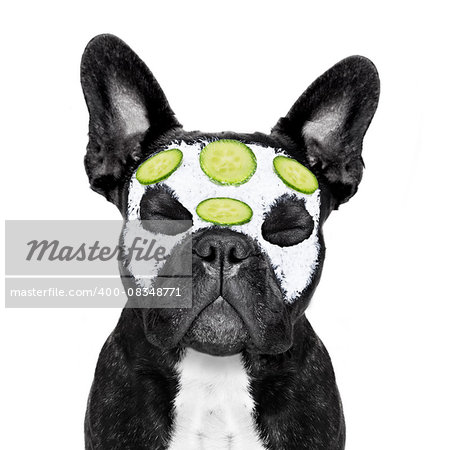 french bulldog dog relaxing  with beauty mask in   spa wellness center ,getting a facial treatment with  moisturizing cream mask and cucumber ,sleeping  with closed eyes