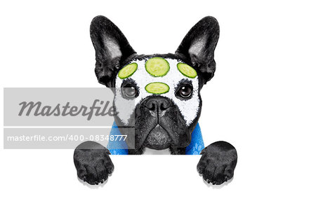 french bulldog dog relaxing  with beauty mask in   spa wellness center ,getting a facial treatment with  moisturizing cream mask and cucumber ,behind banner or placard, isolated on white background