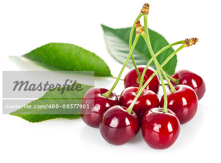 Fresh cherries with green leaves. Isolated on white background