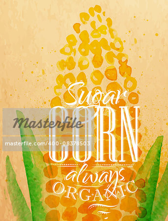 Poster watercolor corn lettering sugar corn always organic drawing on kraft paper