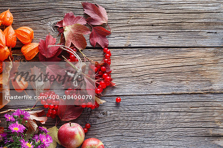 Fall harvesting viburnum and apples on rustic wooden background