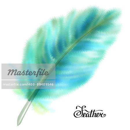 Blue and green fluffy feather isolated on white background. Vector illustration.