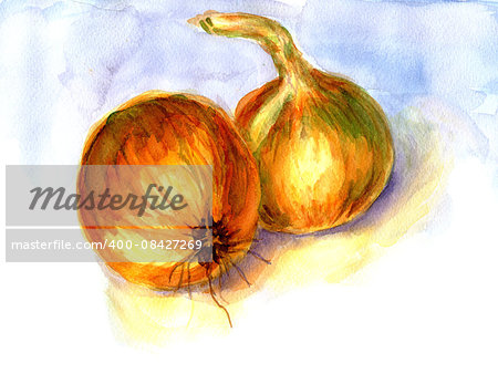 Watercolor onions realistic illustration hand drawn