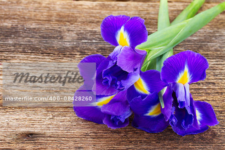 fresh iris flowers on wooden table background