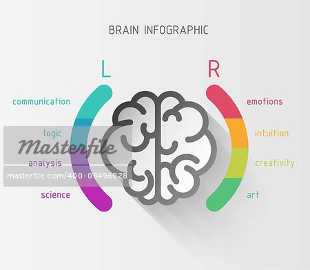 Vector flat brain infographic paper sign with left and right hemisphere in colorful parentheses and different brain functions