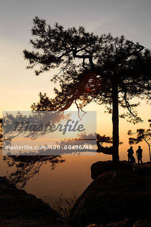 Silhouetted branch of pine tree with travelers on the rock cliff beside during the sunset time at Lomsak cliff at Phukradueng national park in Loei province of Thailand.