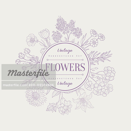 Flowers, Hand drawn Vector Illustration Banner, Organic sketch background. Vector frame design
