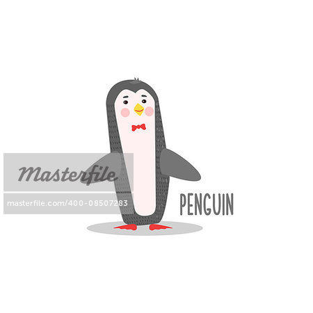 Penguin Drawing For Arctic Animals Collection Of Flat Vector Illustration In Creative Style On White Background