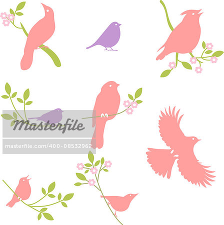Vector Collection of Bird Silhouettes, colored silhouettes