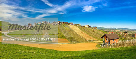 Hillside vineyards and cottages of Zagorje region, northern Croatia
