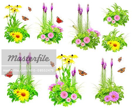 Collection of summer flowers, butterfly, caterpillar and green leaves. Isolated on white background