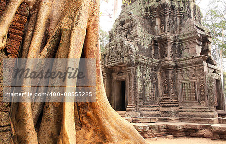 Big tree and ruins of temple in famous landmark Angkor Wat complex, khmer culture, Siem Reap, Cambodia