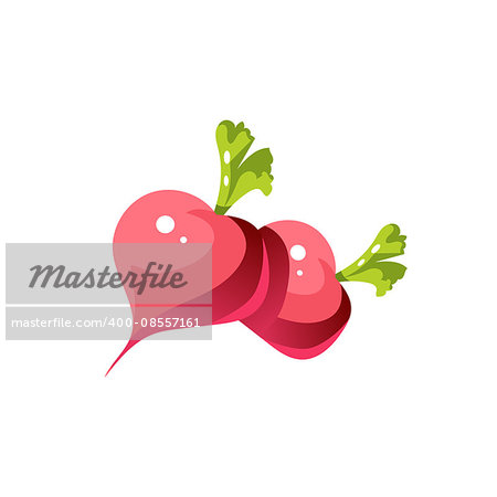 Turnip Bright Color Simple Illustration In Flat Vector Cartoon Design Isolated On White Background