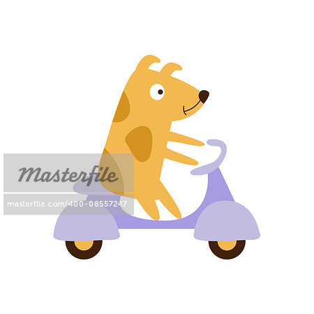 Dog Riding A Scooter Creative Funny And Cute Flat Design Vector Illustration In Simplified Mulicolor Style On White Background