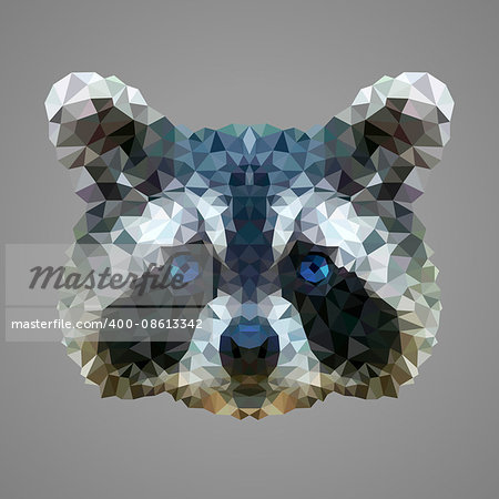 Raccoon portrait. Low poly design. Abstract polygonal illustration.