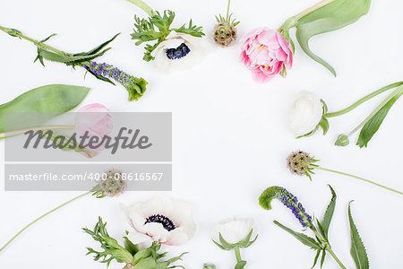Pink tulips, white anemonse, pink cloves and white buttercups lying on white background from the top in the circle, prepered to do bouquet